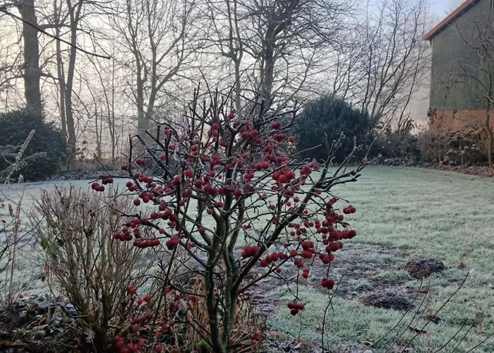 Eckelehe, Wremen Daire